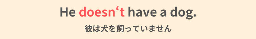 He doesn't have a dog.
彼は犬を飼っていません。