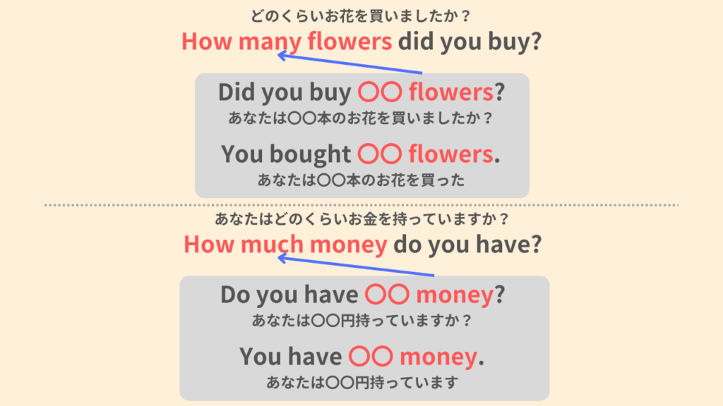 How many flowers did you buy?
どのくらいお花を買いましたか?
Did you buy 〇〇 flowers?
あなたは〇〇本のお花を買いましたか?
You bought 〇〇 flowers.
あなたは〇〇本のお花を買いました。
How much money do you have?
あなたはどのくらいお金を持っていますか?
Do you have 〇〇 money?
あなたは〇〇円持っていますか?
You have 〇〇 money.
あなたは〇〇円持っています。